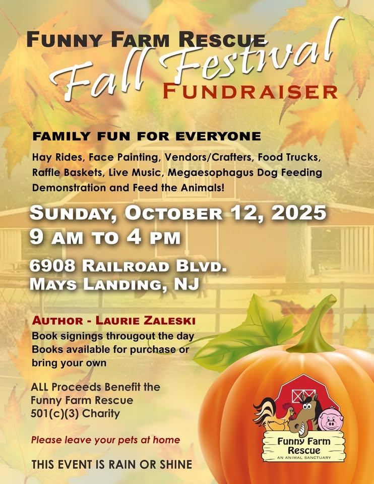Fall Festival